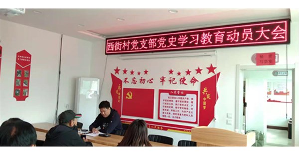 西街村党支部召开党史学习教育动员大会